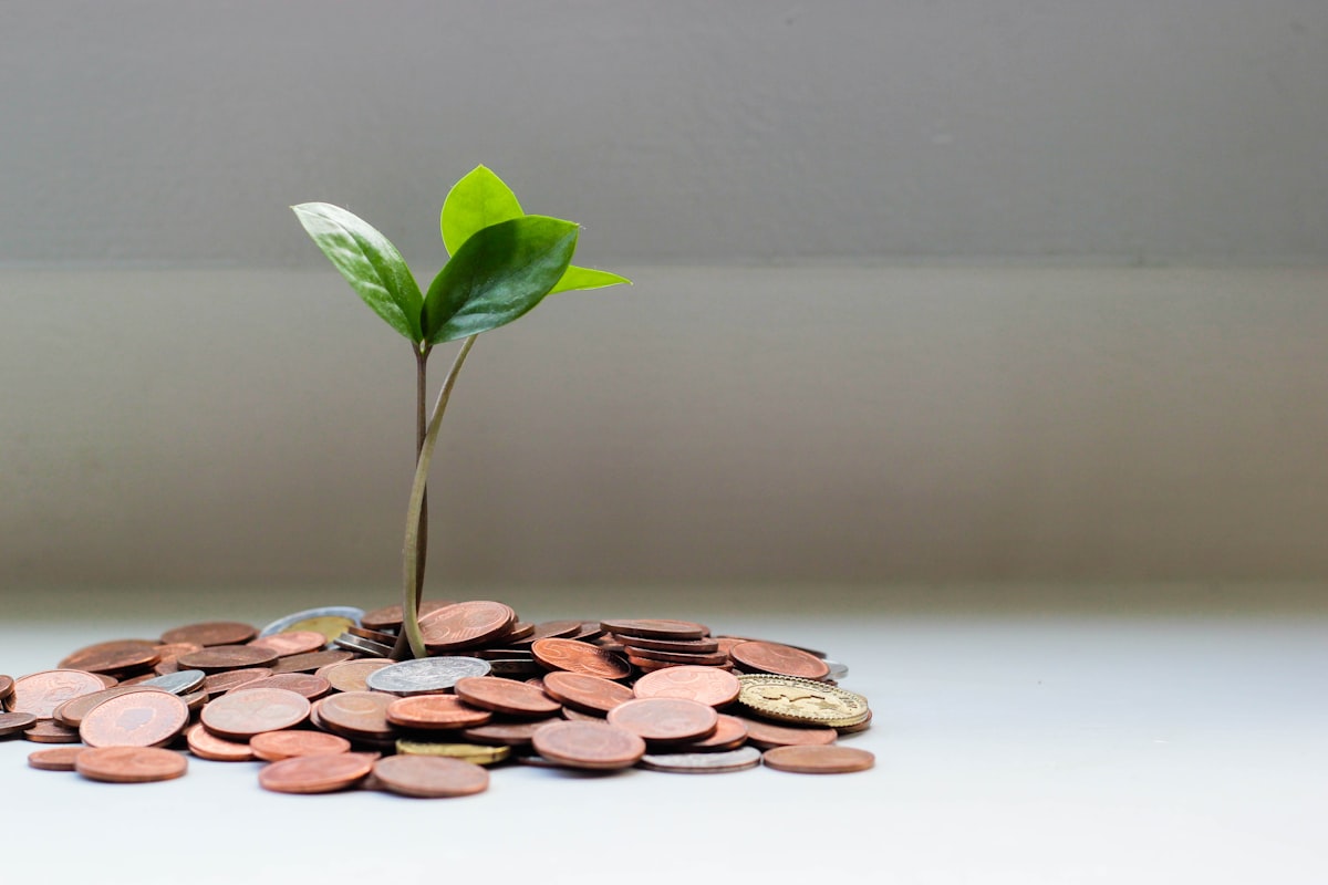 Support agent helping a customer with an urgent loan application